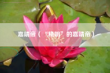 嘉靖帝（“精明”的嘉靖帝）