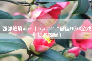 西部绝境steam（TGA 2022“最佳VR/AR游戏”提名揭晓）