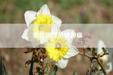 泰拉瑞亚丛林神庙