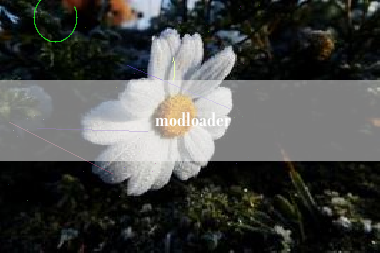 modloader