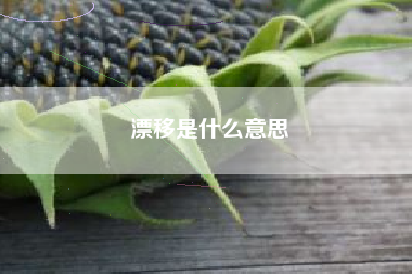 漂移是什么意思