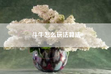 斗牛怎么玩法算法