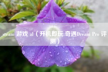 steam 游戏 al（开机即玩:奇遇Dream Pro 评测）