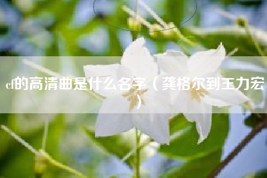 cf的高清曲是什么名字（龚格尔到王力宏）