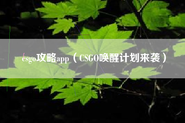 csgo攻略app（CSGO唤醒计划来袭）