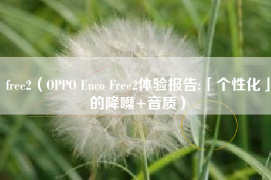 free2（OPPO Enco Free2体验报告:「个性化」的降噪+音质）