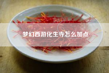 梦幻西游化生寺怎么加点