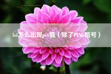 lol怎么出现pin值（除了PING信号）