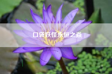 口袋妖怪永恒之焱