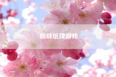 蜘蛛纸牌游戏