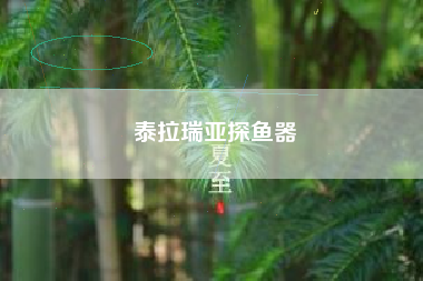 泰拉瑞亚探鱼器