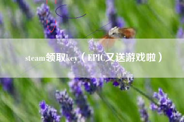 steam领取key（EPIC又送游戏啦）