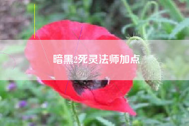 暗黑2死灵法师加点