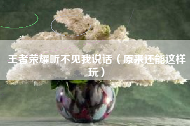 王者荣耀听不见我说话（原来还能这样玩）