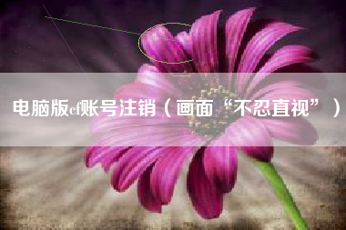 电脑版cf账号注销（画面“不忍直视”）