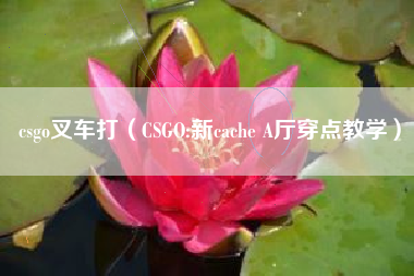 csgo叉车打（CSGO:新cache A厅穿点教学）