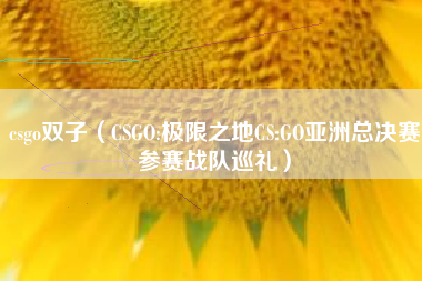 csgo双子（CSGO:极限之地CS:GO亚洲总决赛参赛战队巡礼）