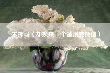 宋押司（却换来一个楚州安抚使）