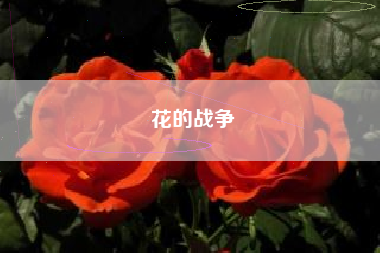 花的战争