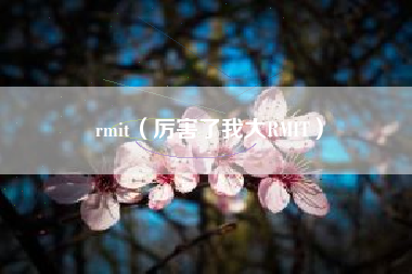 rmit（厉害了我大RMIT）