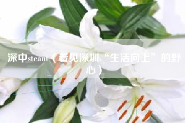 深中steam（看见深圳“生活向上”的野心）