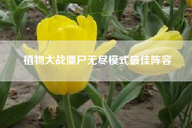 植物大战僵尸无尽模式最佳阵容