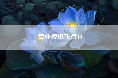 专业模拟飞行10