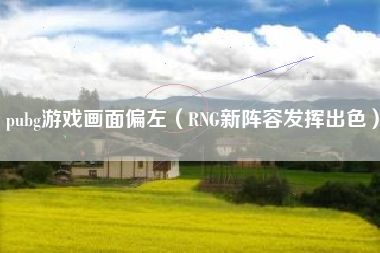 pubg游戏画面偏左（RNG新阵容发挥出色）