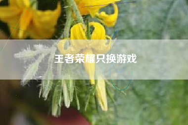 王者荣耀只换游戏