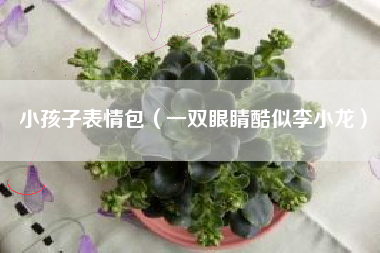 小孩子表情包（一双眼睛酷似李小龙）