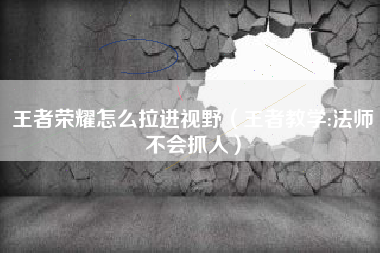 王者荣耀怎么拉进视野（王者教学:法师不会抓人）