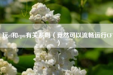 玩cf和cpu有关系吗（竟然可以流畅运行CF）