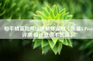 和平精英如何快速解除误触（黑鲨5 Pro评测:设计低调不低端）