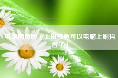 电脑网页版（上班摸鱼可以电脑上刷抖音了）