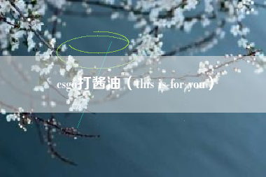 csgo打酱油（this is for you）