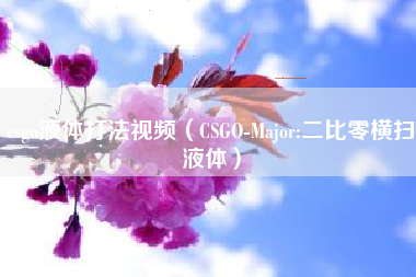 csgo液体打法视频（CSGO-Major:二比零横扫液体）