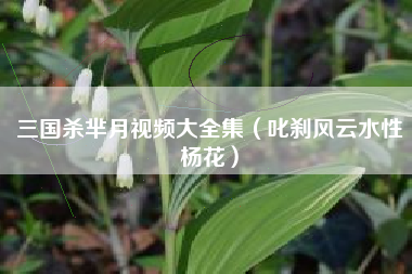 三国杀芈月视频大全集（叱刹风云水性杨花）