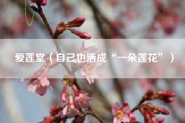 爱莲堂（自己也活成“一朵莲花”）