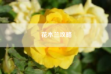 花木兰攻略