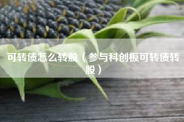 可转债怎么转股（参与科创板可转债转股）