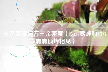 王者荣耀一万三亲密度（Estar易峥和TTG清清顶峰相见）