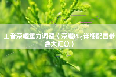 王者荣耀重力调整（荣耀Play详细配置参数大汇总）