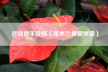 逆战猎手皮肤（花木兰典藏突袭）