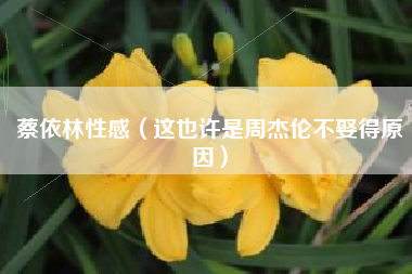 蔡依林性感（这也许是周杰伦不娶得原因）