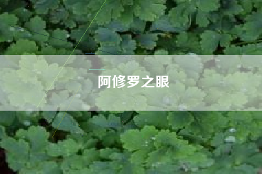 阿修罗之眼