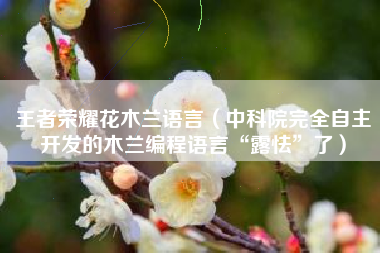 王者荣耀花木兰语言（中科院完全自主开发的木兰编程语言“露怯”了）