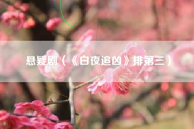 悬疑剧（《白夜追凶》排第三）