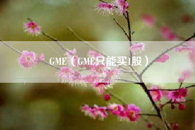 GME（GME只能买1股）