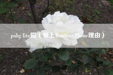 pubg lite慢（爱上Windows Phone理由）