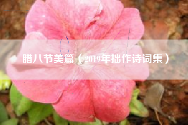 腊八节美篇（2019年拙作诗词集）